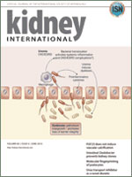 kidney int