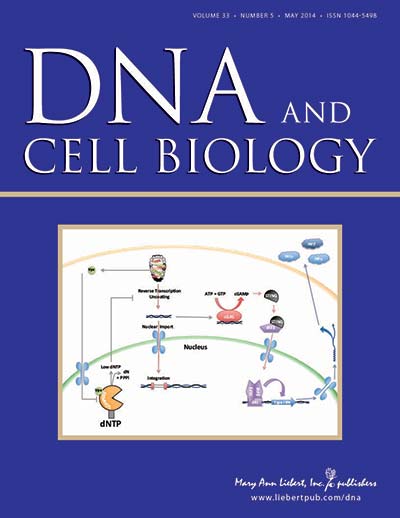 dna cell biology 2