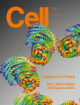 cell cover 312