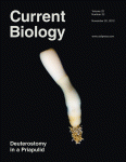 current biology