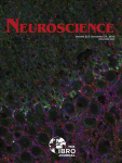 neuroscience1212 cover