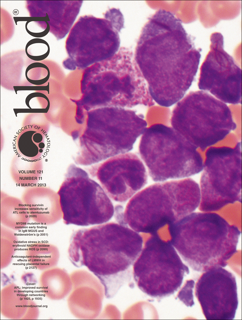 blood cover