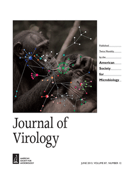 j virology