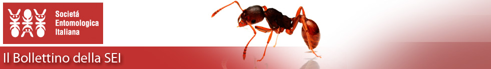 italinsectlogo