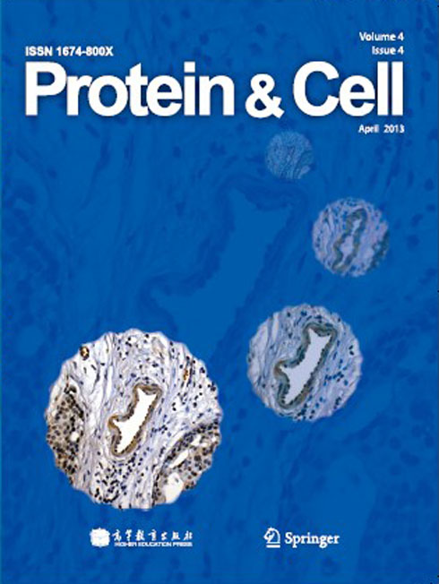 proteincell