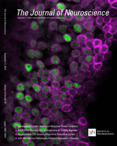 jneurosci