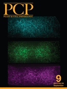 pcp 913cover