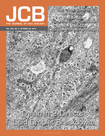jcbcover