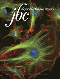jbc1113