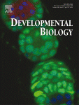 devbio