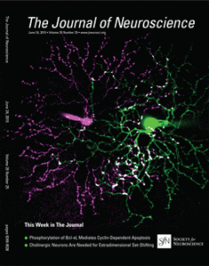 The Journal of Neuroscience