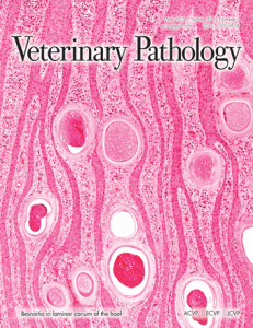 Veterinary Pathology.