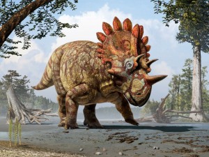 This is an artistic life reconstruction of the new horned dinosaur Regaliceratops peterhewsi in the palaeoenvironment of the Late Cretaceous of Alberta, Canada. SOURCE: Art by Julius T. Csotonyi. Courtesy of Royal Tyrrell Museum, Drumheller, Alberta. 