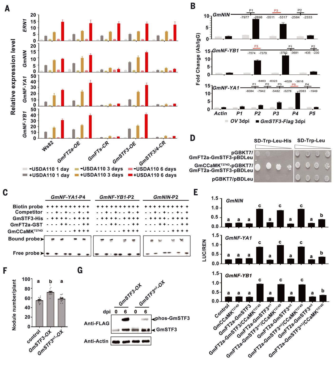 The "Arsenic Life" Paper Retraction: The Truth Is Out - zmltcdj